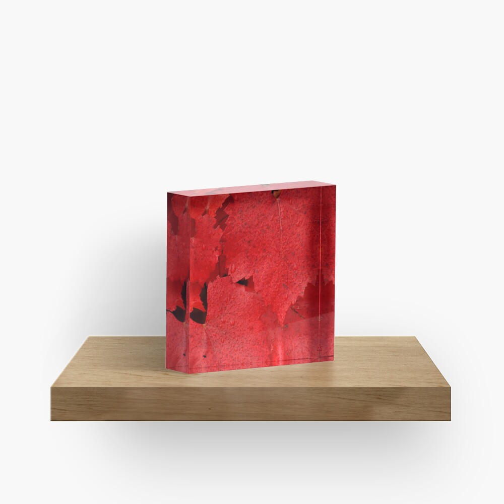 Item preview, Acrylic Block designed and sold by Tiffany.