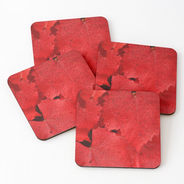 Item preview, Brilliance designed and sold by Tiffany Dryburgh.