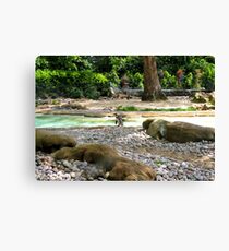 Penguin party Canvas Print