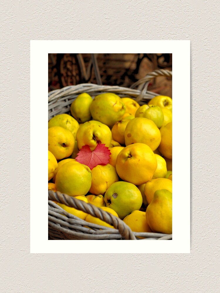 Alternate view of Basketful of Autumn Art Print