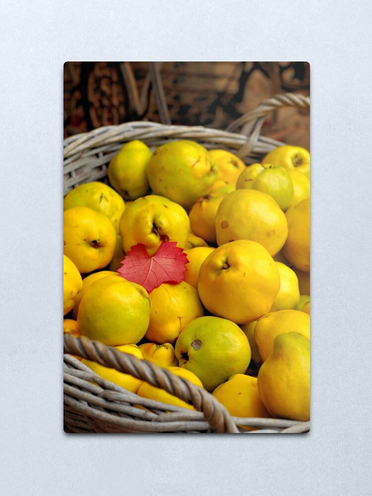 Alternate view of Basketful of Autumn Metal Print