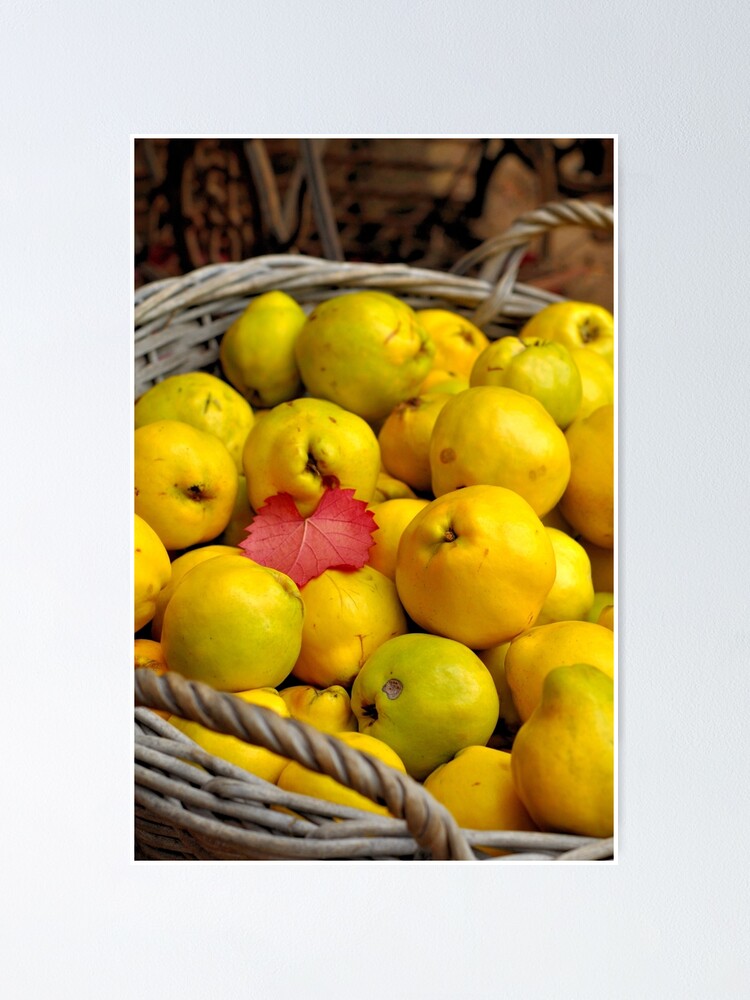 Alternate view of Basketful of Autumn Poster