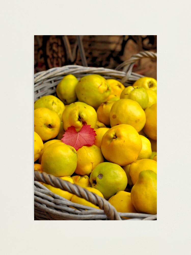 Alternate view of Basketful of Autumn Photographic Print