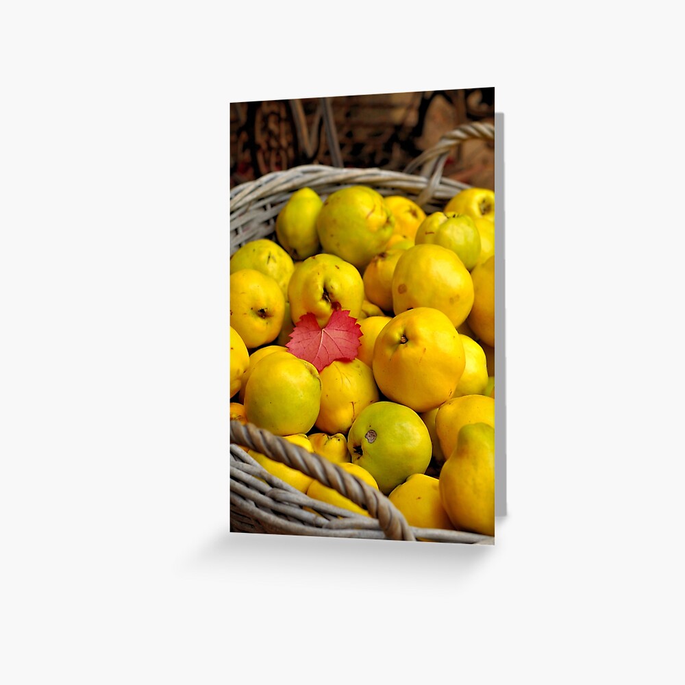 Basketful of Autumn Greeting Card