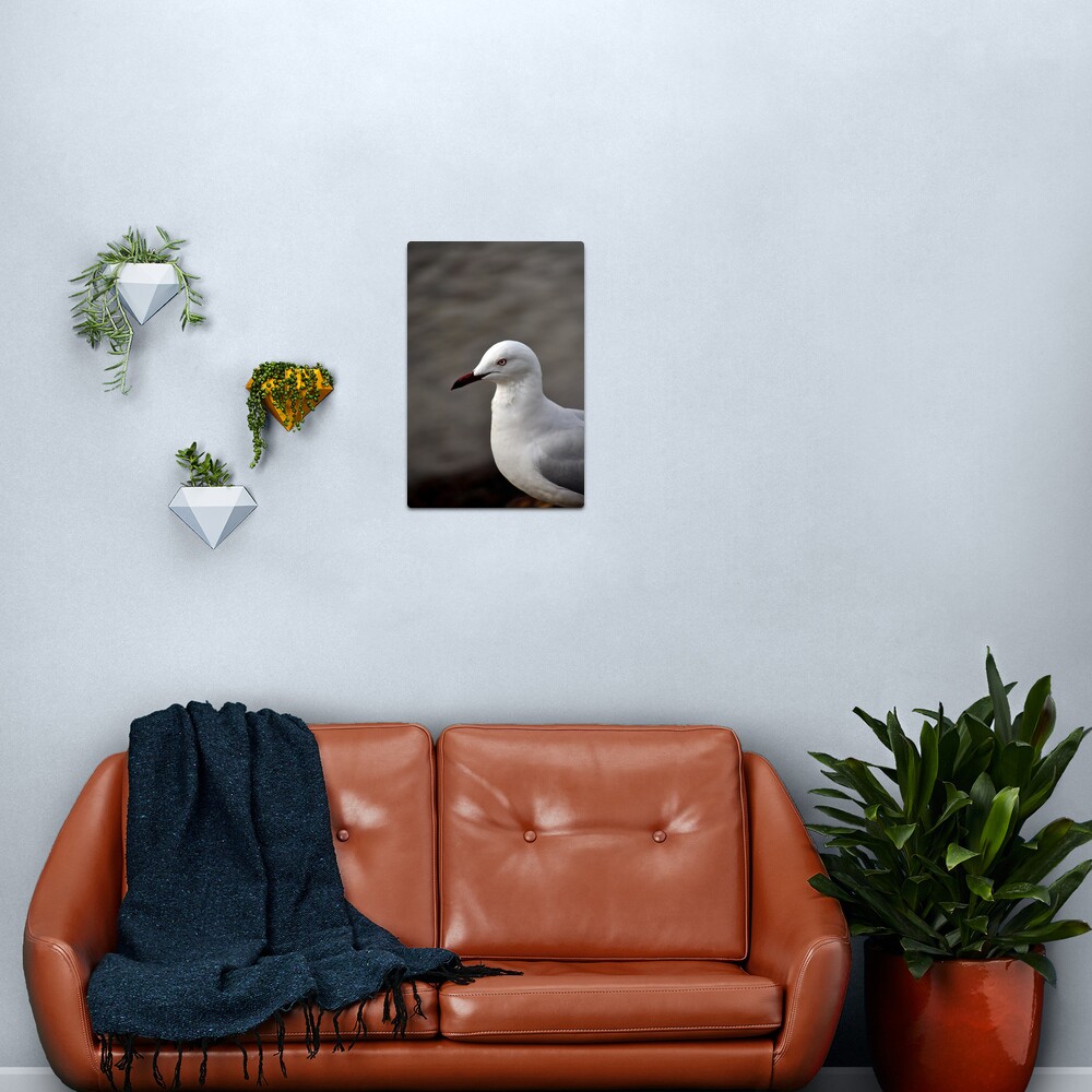 I'm Ready for My Close Up Metal Print