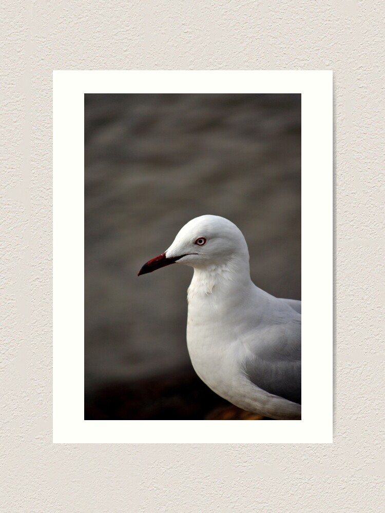 Alternate view of I'm Ready for My Close Up Art Print