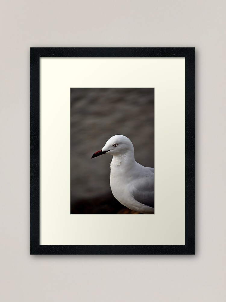 Thumbnail 1 of 7, Framed Art Print, I'm Ready for My Close Up designed and sold by Tiffany.