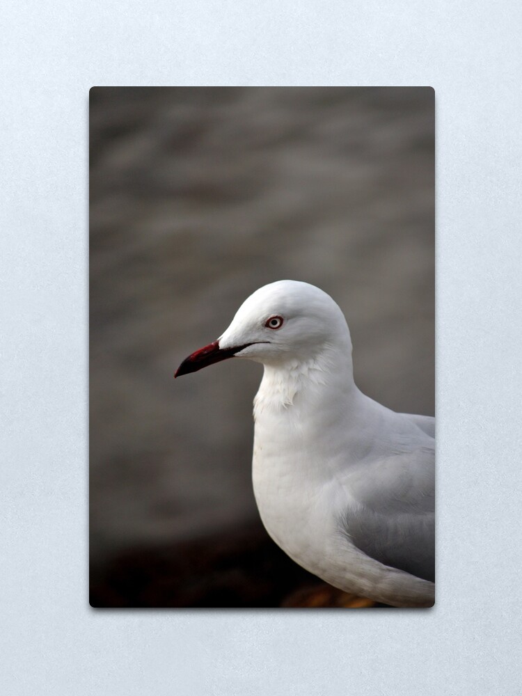 Alternate view of I'm Ready for My Close Up Metal Print