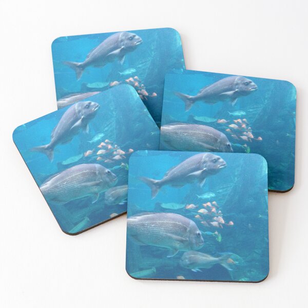 Item preview, Fish at the aquarium designed and sold by TeamBlue.