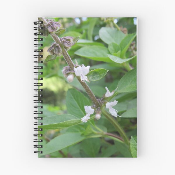 Item preview, Basil flowers designed and sold by greentiger1.