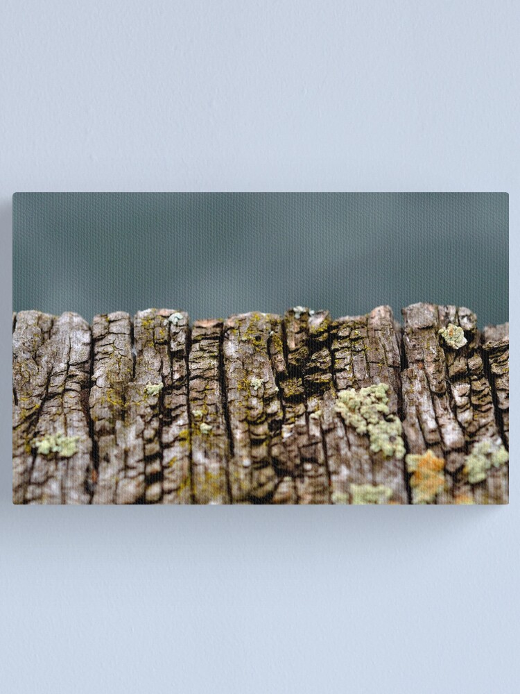 Thumbnail 1 of 3, Canvas Print, On the Edge designed and sold by Tiffany.
