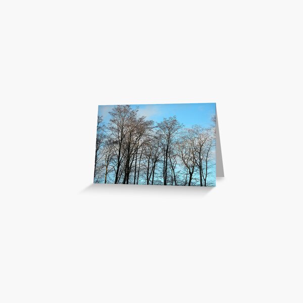 Tarradale Trees Greeting Card