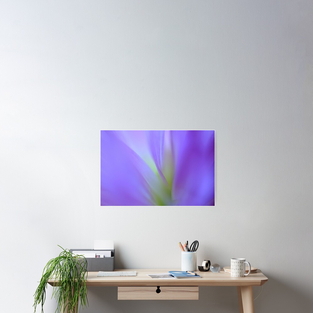 Dreaming Poster