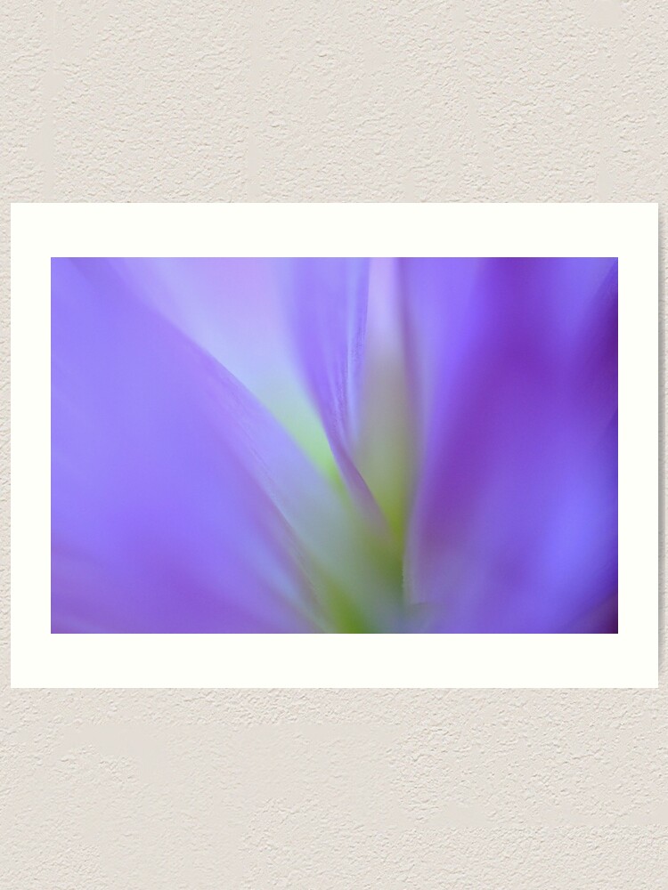 Alternate view of Dreaming Art Print
