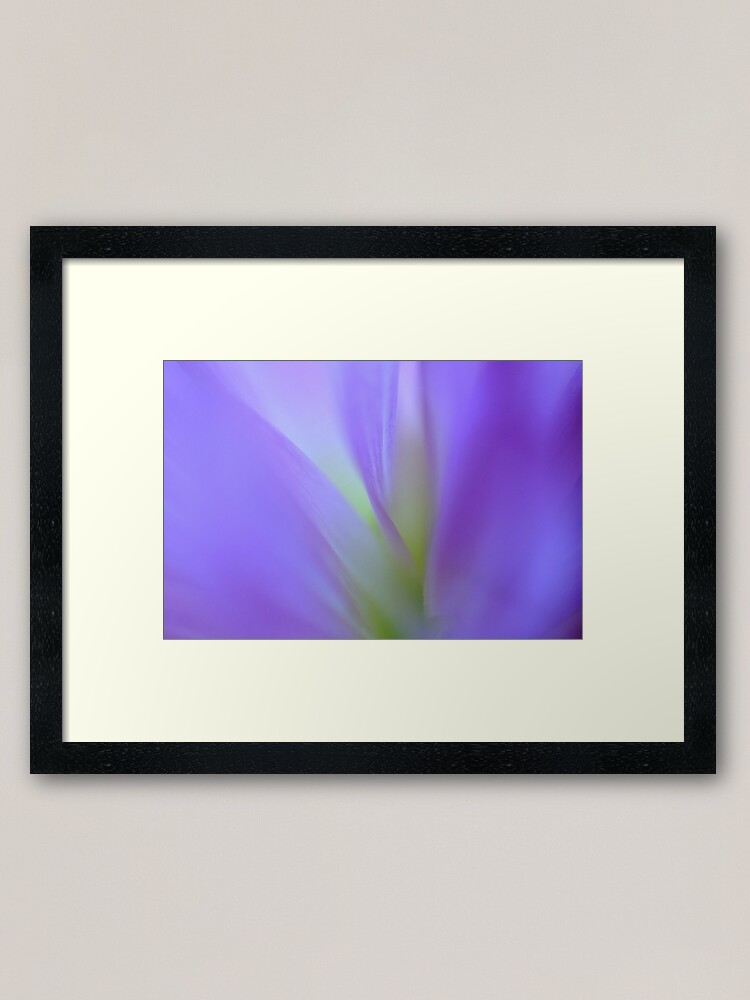 Alternate view of Dreaming Framed Art Print