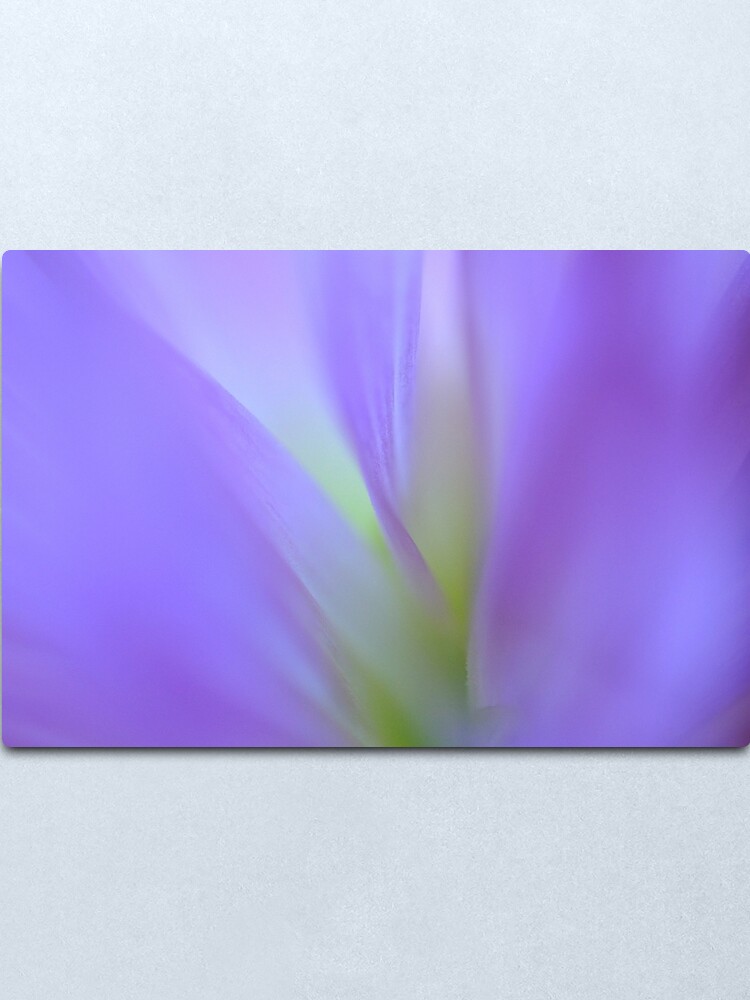Alternate view of Dreaming Metal Print