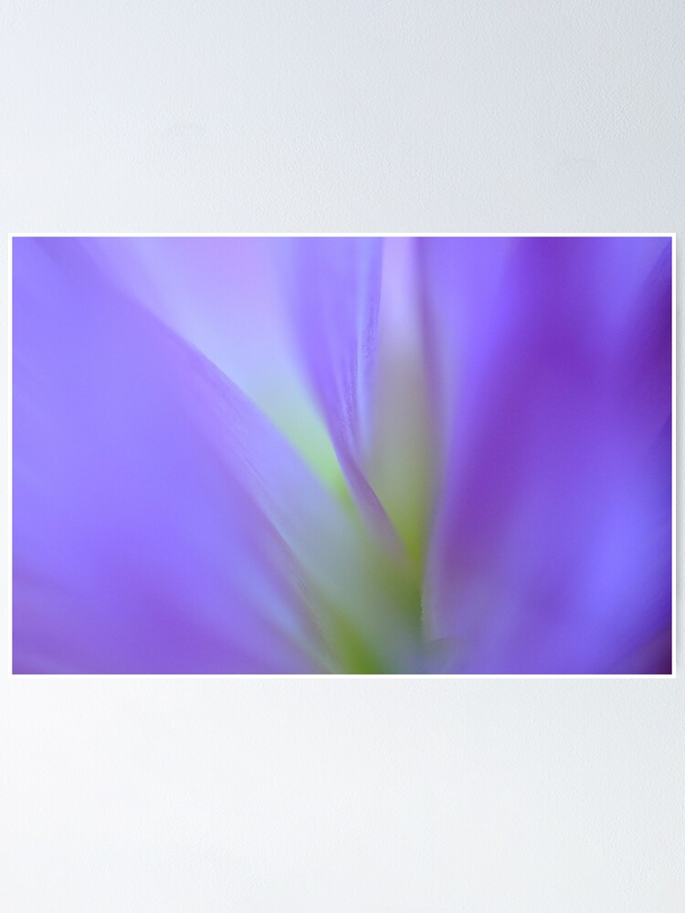 Alternate view of Dreaming Poster