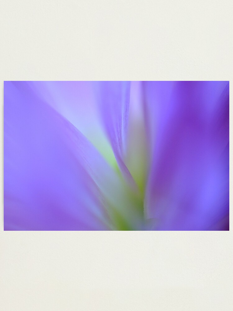 Alternate view of Dreaming Photographic Print