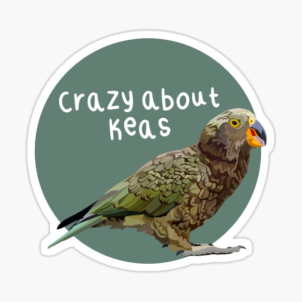 Item preview, K is for Kea Keeper,Kea Keeper Design – Dedicated Bird Care and Wildlife Keeper Artwork designed and sold by PrettylittlepastelUk.