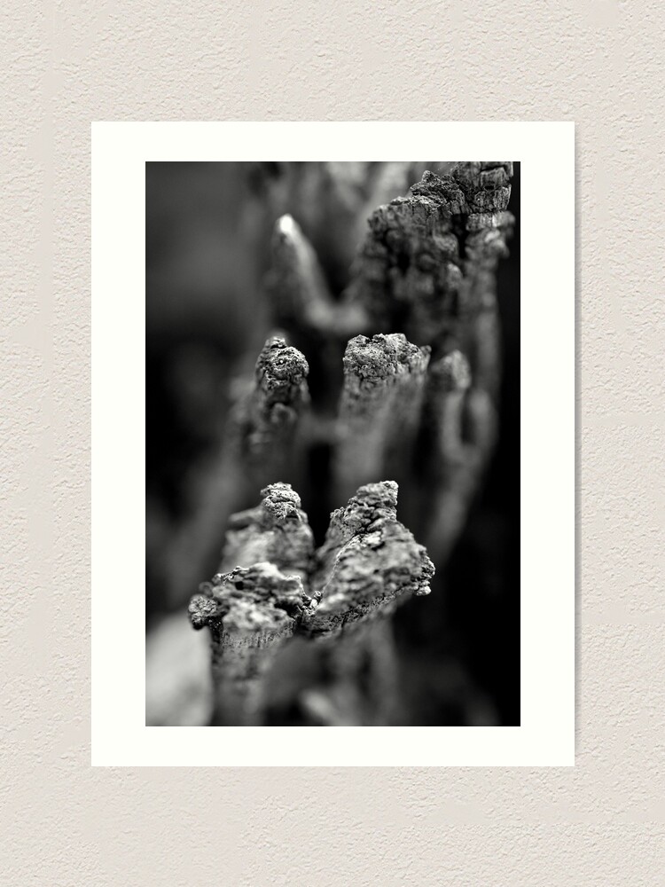 Alternate view of Reaching Art Print