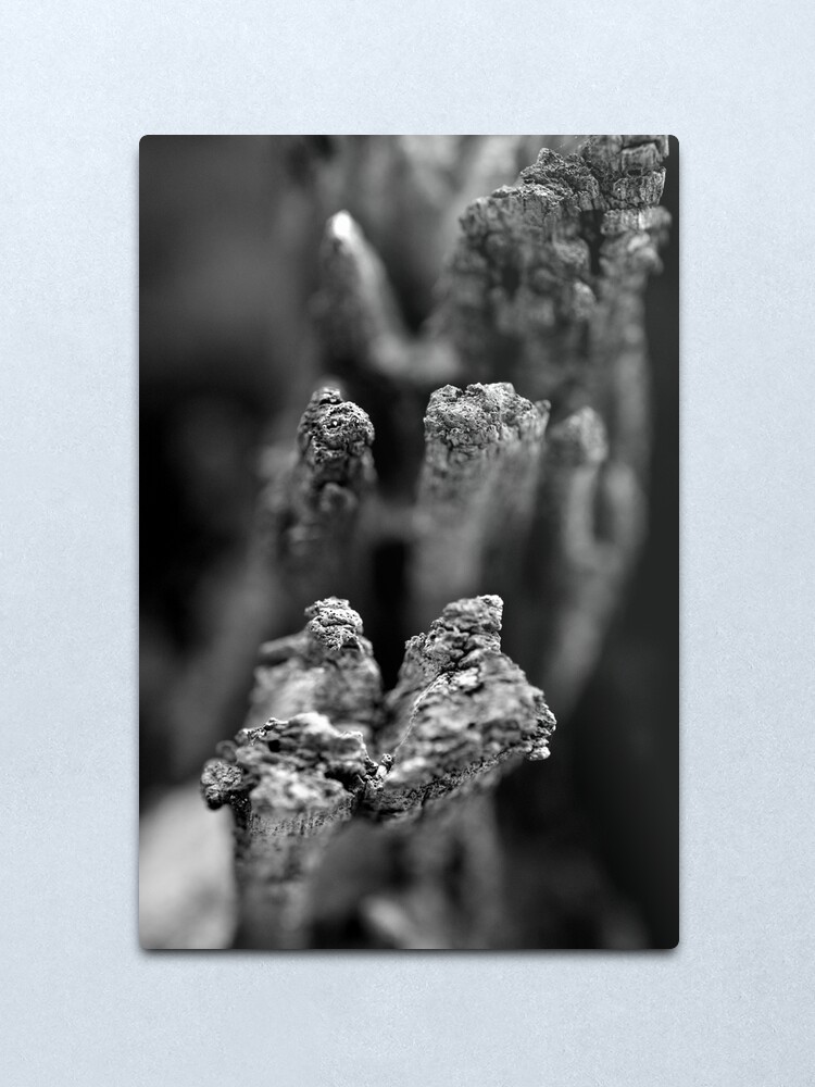 Alternate view of Reaching Metal Print