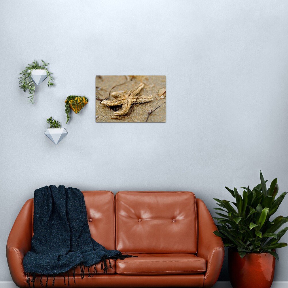 Washed Up Metal Print