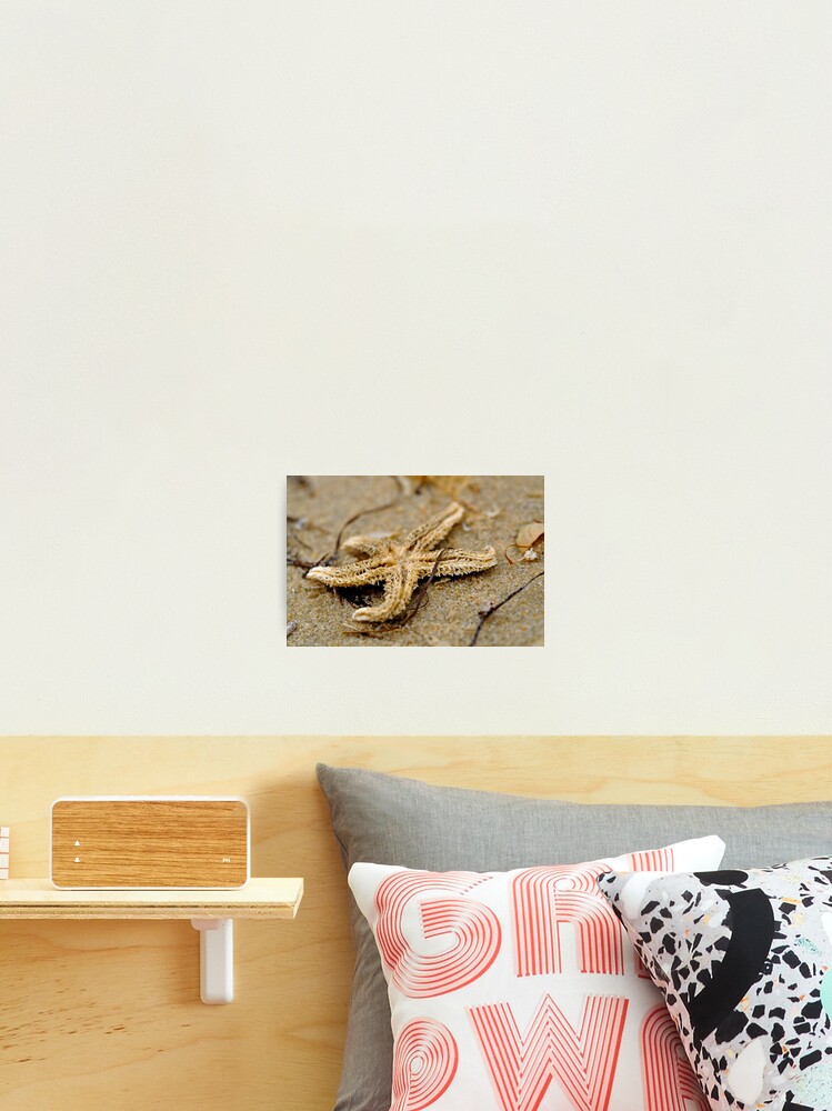 Thumbnail 1 of 3, Photographic Print, Washed Up designed and sold by Tiffany Dryburgh.