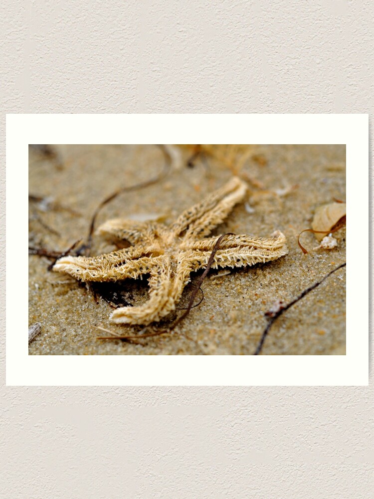 Alternate view of Washed Up Art Print