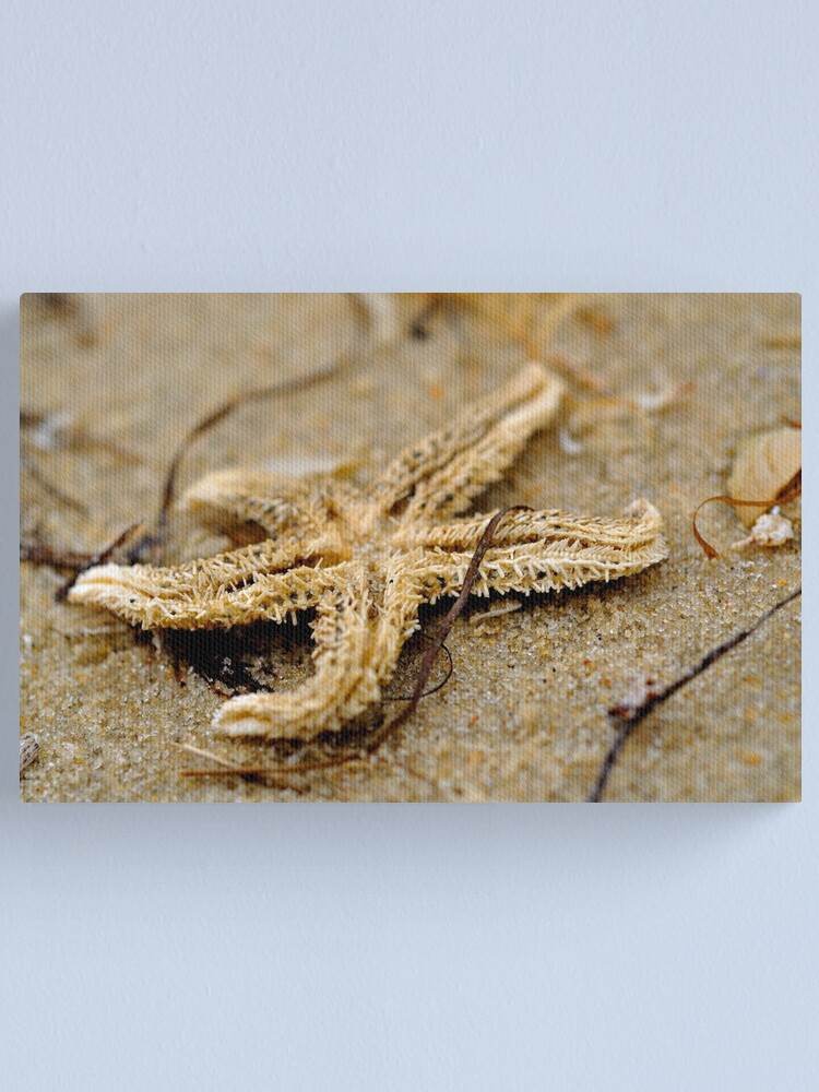 Alternate view of Washed Up Canvas Print