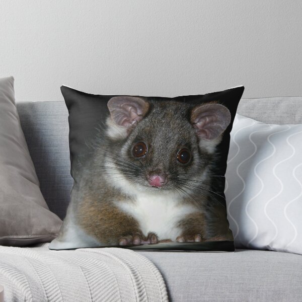 Artikelvorschau, Urban Possum entworfen und verkauft von Ray Fowler.