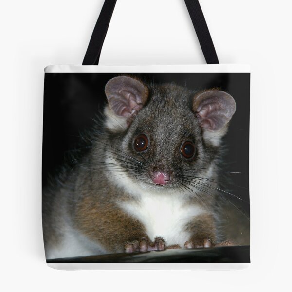Aperçu de l'œuvre Possum urbain créée et vendue par Ray Fowler.