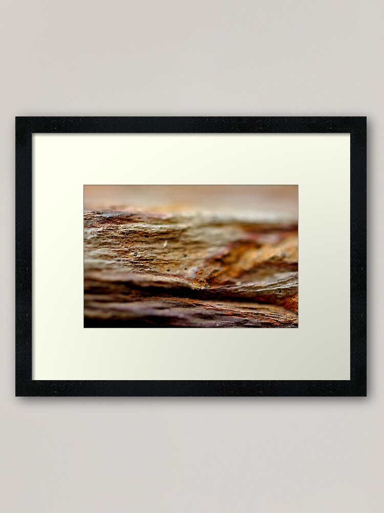 Alternate view of Millennia Framed Art Print