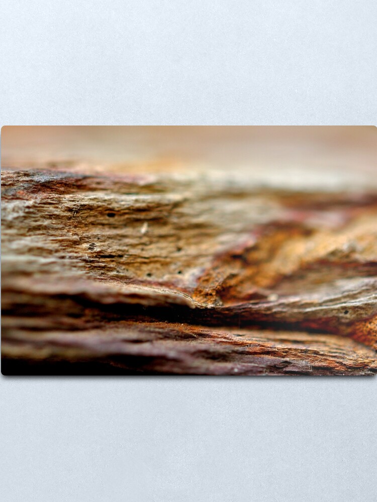 Alternate view of Millennia Metal Print