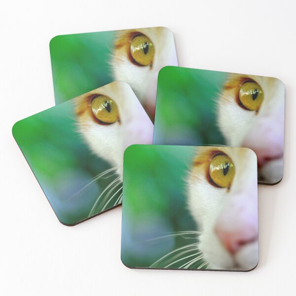 Item preview, Look designed and sold by Tiffany Dryburgh.