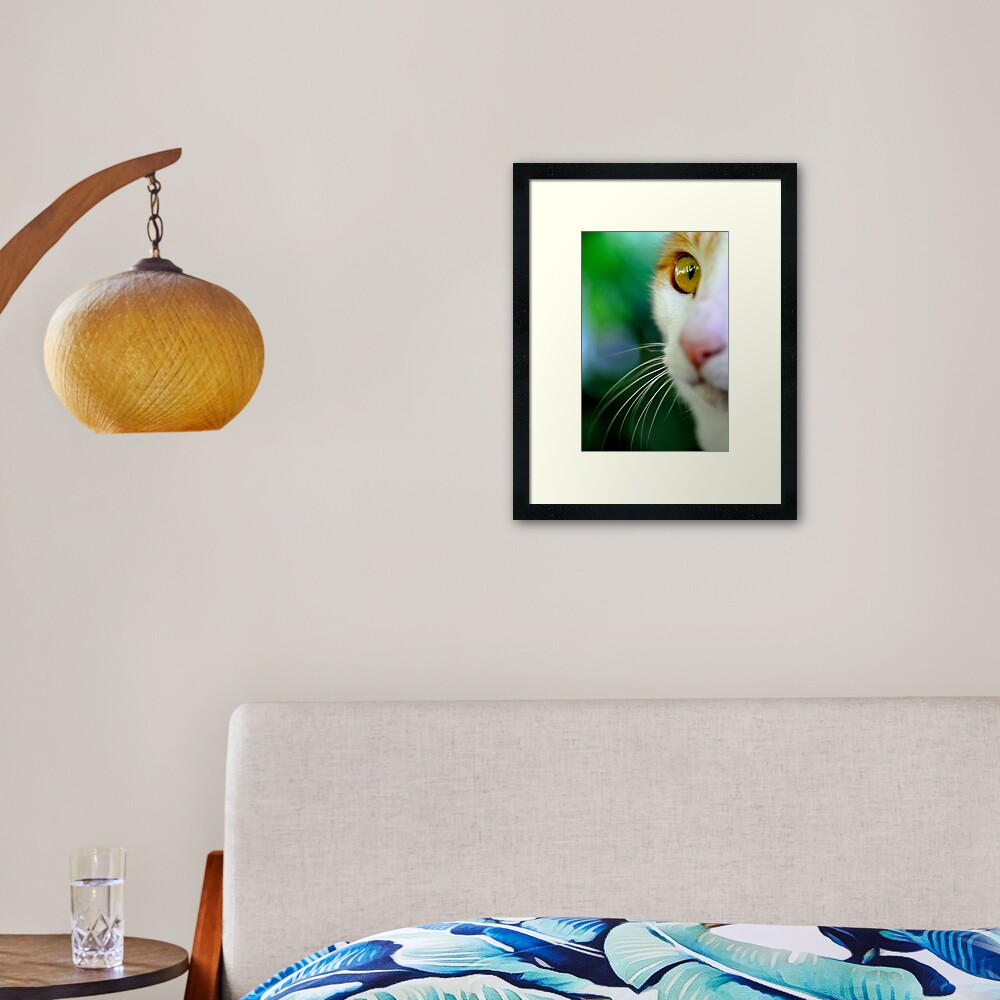 Look Framed Art Print