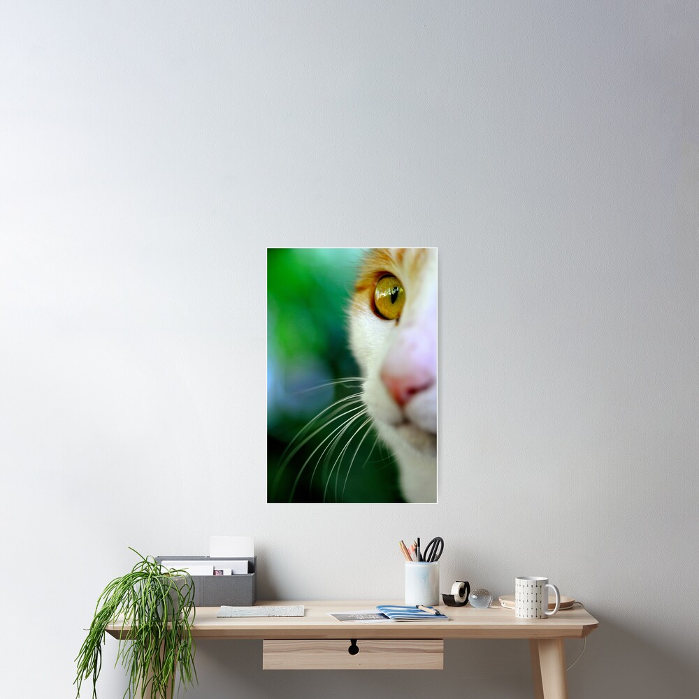 Look Poster