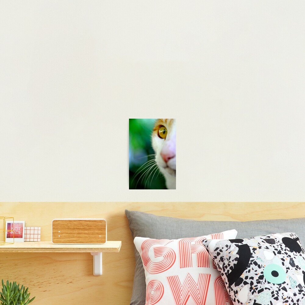 Look Photographic Print