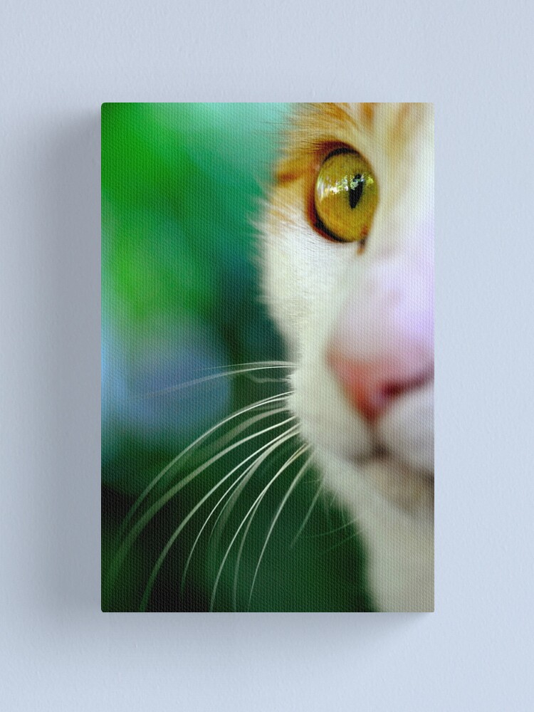 Alternate view of Look Canvas Print
