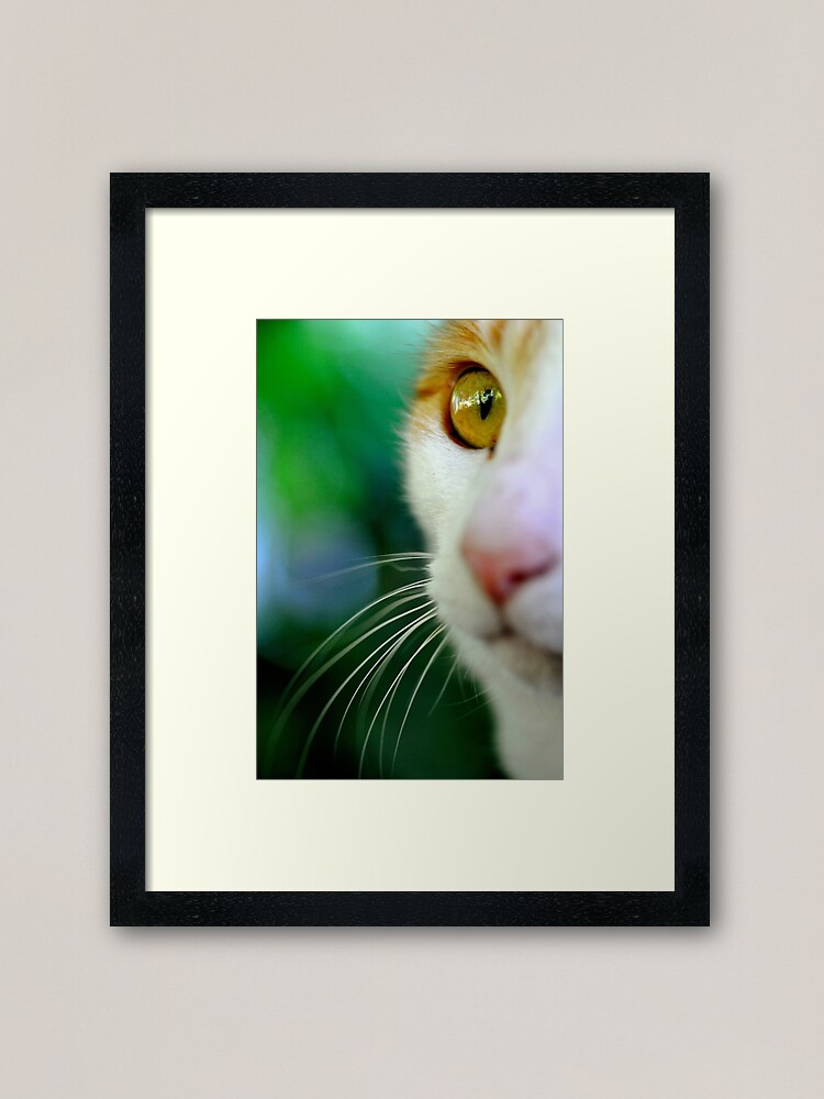 Alternate view of Look Framed Art Print