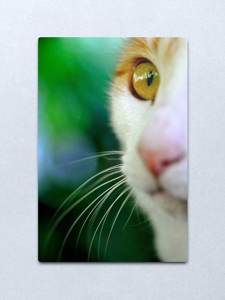 Alternate view of Look Metal Print