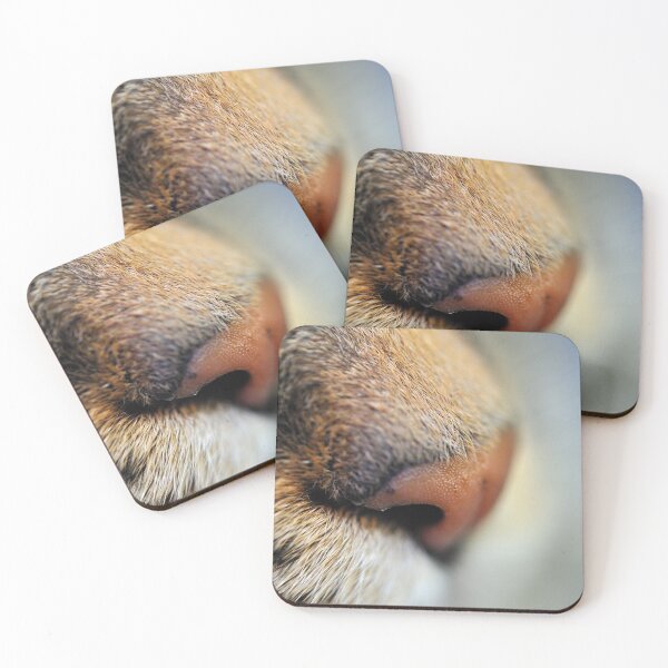 Item preview, Tabby Nose designed and sold by Tiffany Dryburgh.