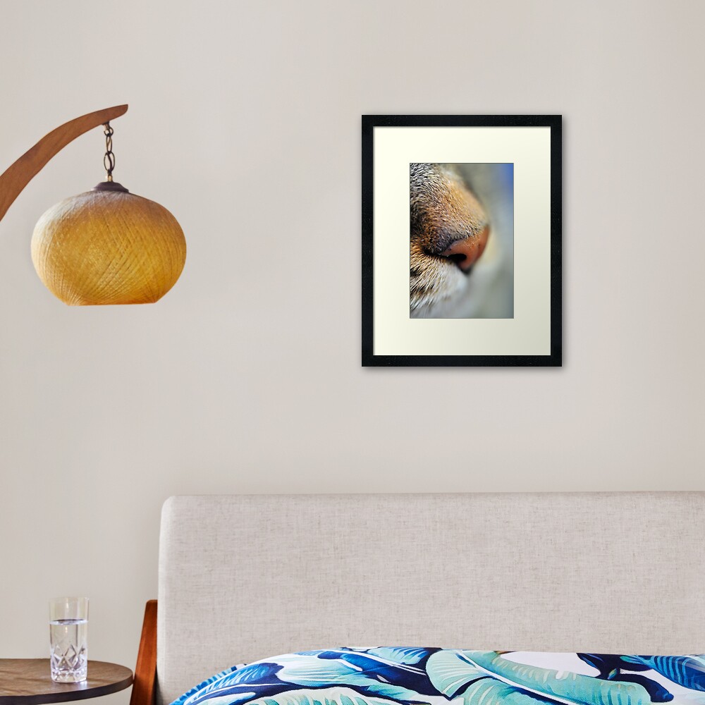 Tabby Nose Framed Art Print
