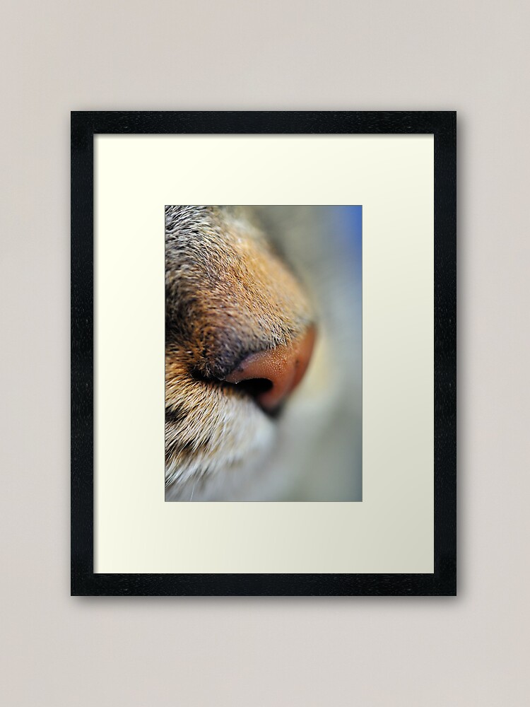 Alternate view of Tabby Nose Framed Art Print