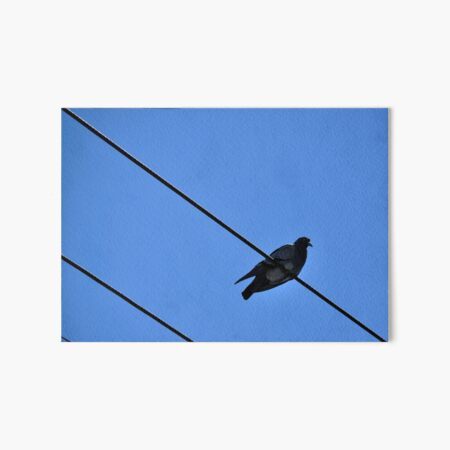 Art Board Print