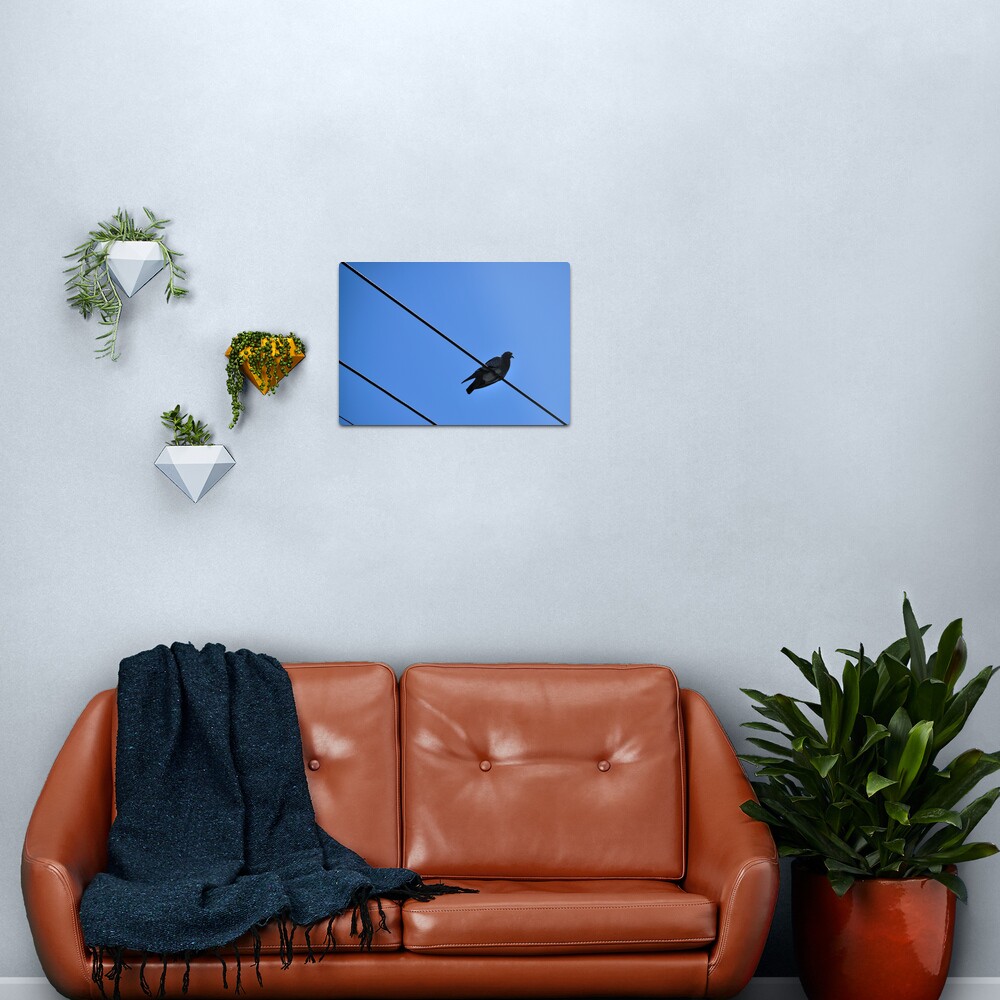 A Nice Spot for Sunbathing Metal Print
