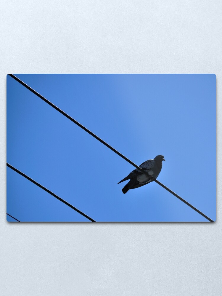 Alternate view of A Nice Spot for Sunbathing Metal Print