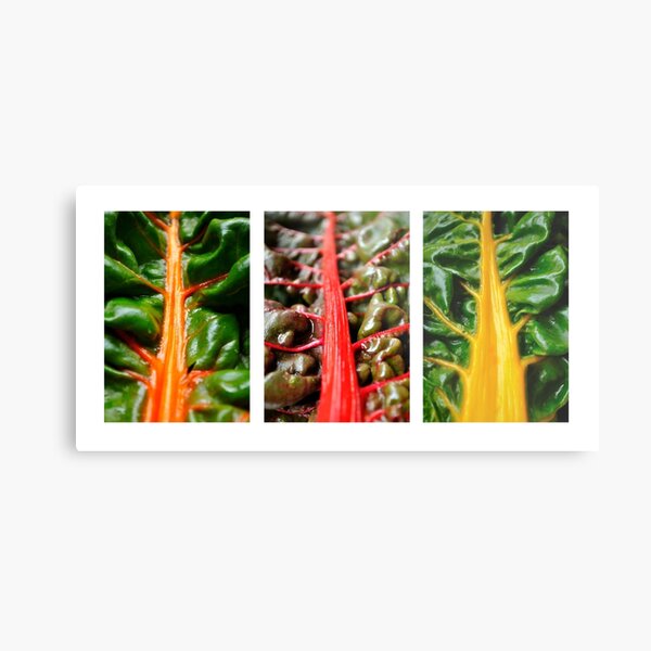 Metal Print