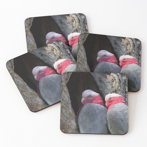 Item preview, Nido designed and sold by Ray Fowler.