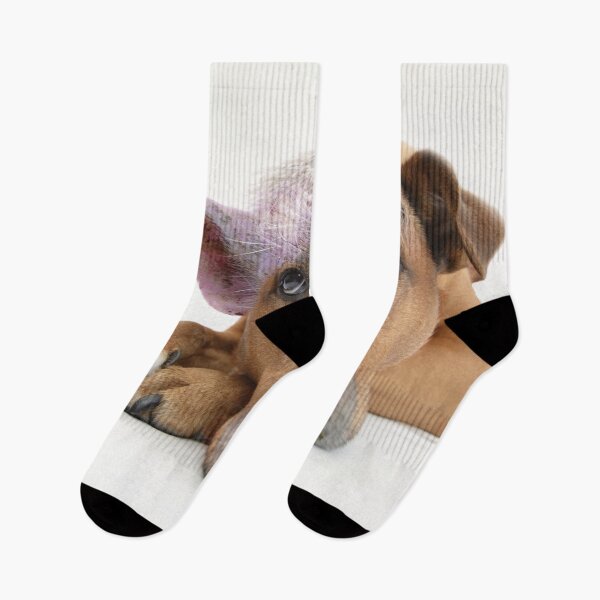 Item preview, Pig Dog designed and sold by Anzarr.