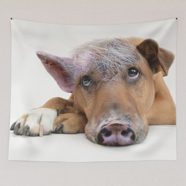 Item preview, Pig Dog designed and sold by Anzarr.